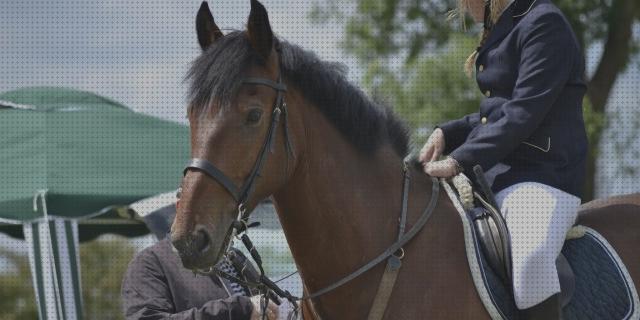 Análisis de las 16 mejores Botas De Montar A Caballos De Hombres De Plásticos