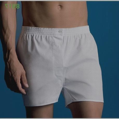 Review de boxer hombre abanderado