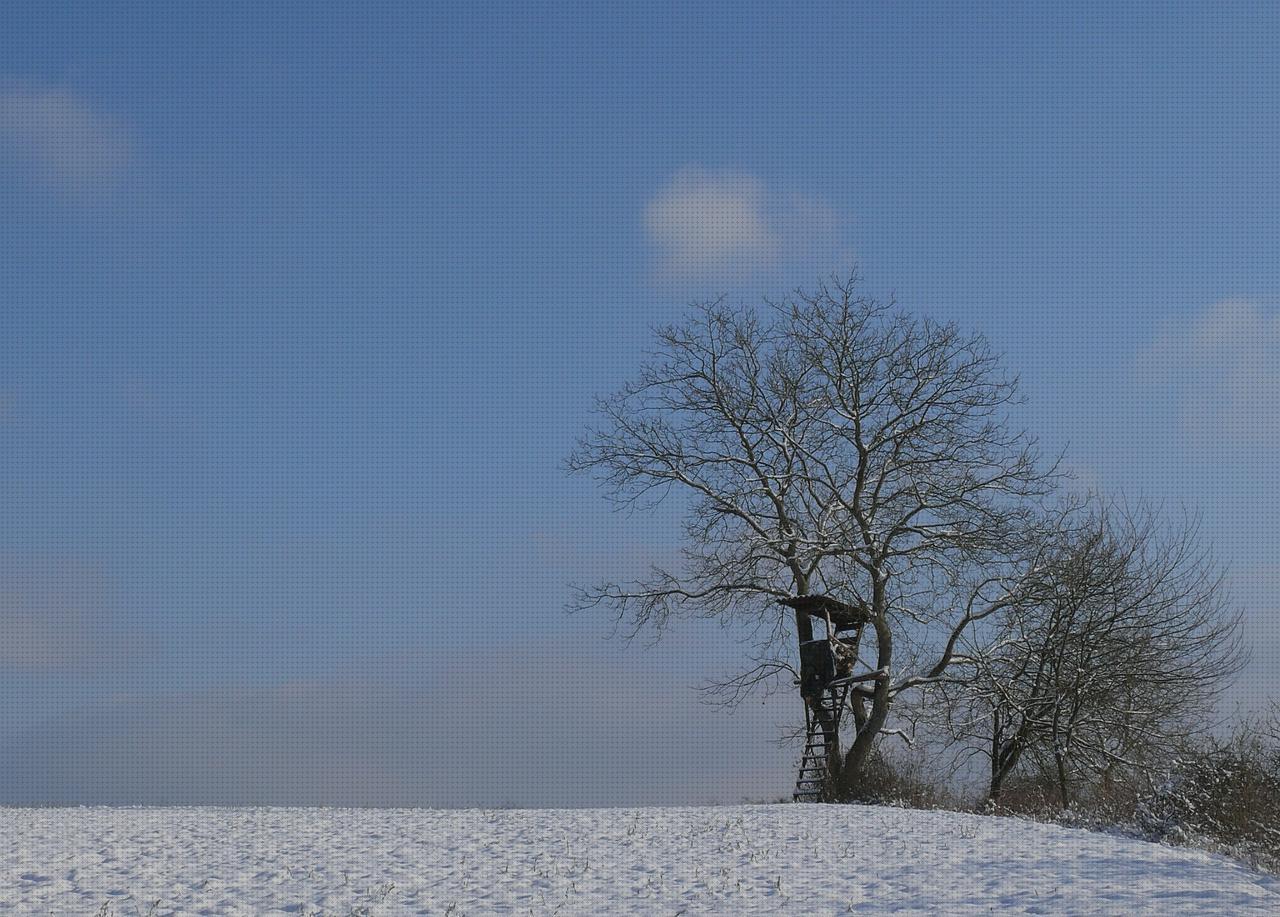 Las mejores cazadoras hombre cazadoras nieve hombre