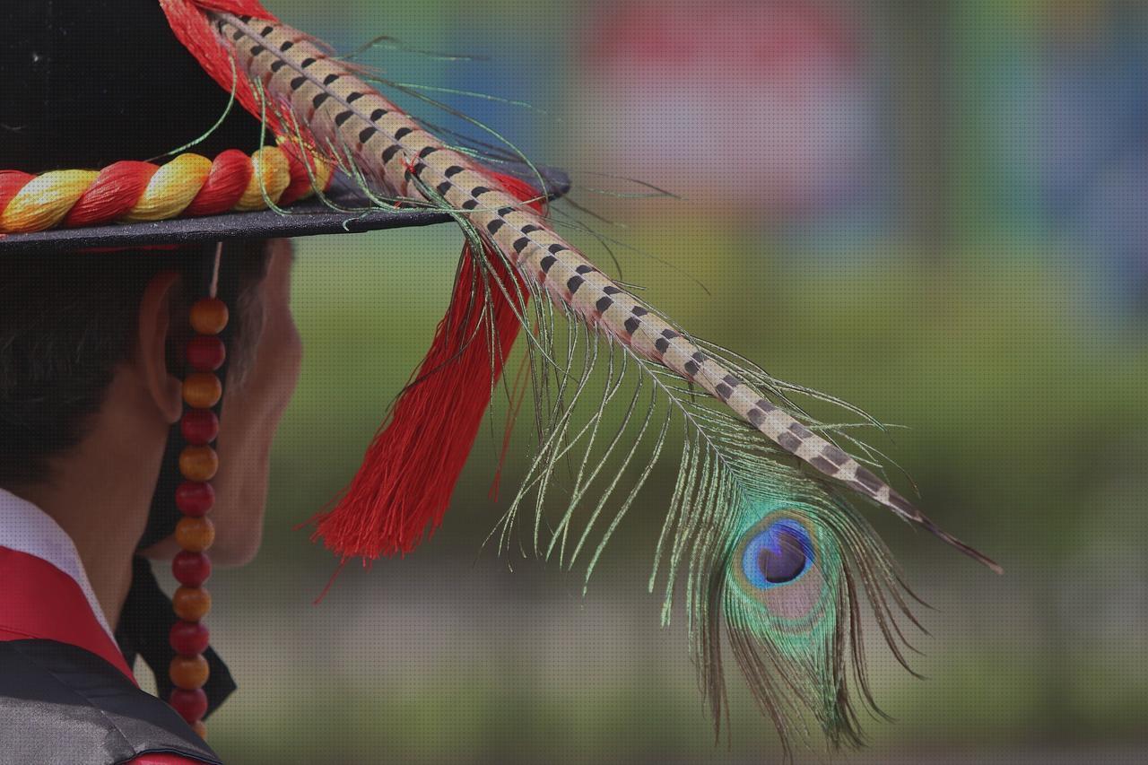 Opiniones de los 8 mejores Chalecos Plumas De Hombres