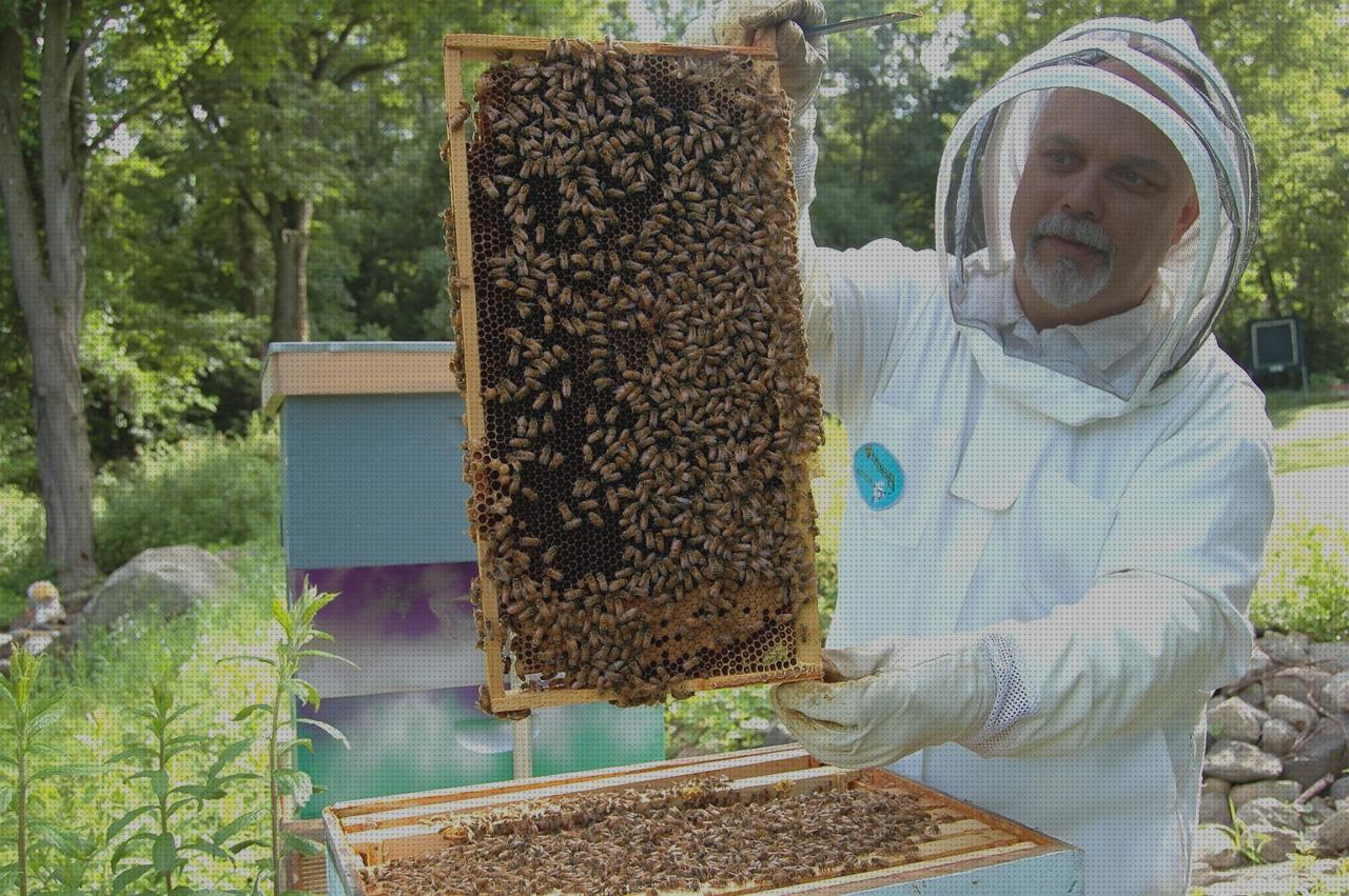 Análisis de las 23 mejores Colonias De Hombres Aguas Bravas