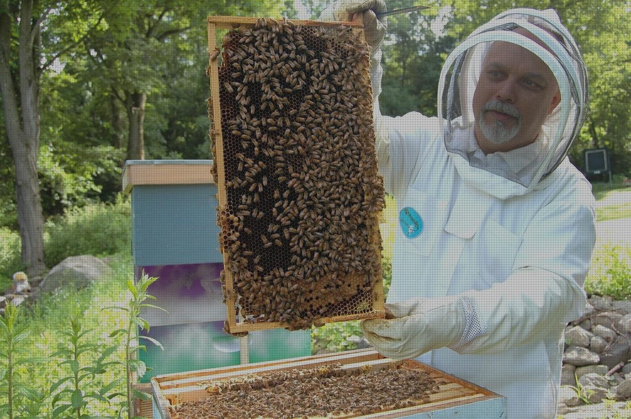 Las mejores 17 Colonias De Hombres Aguas Bravas