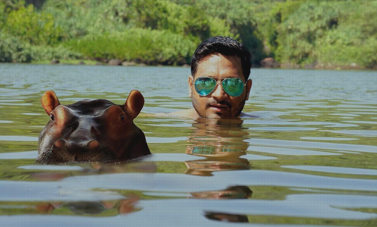 Las mejores 18 Gafas Segun Las Caras De Hombres