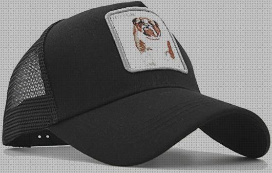 Las mejores gorras gorras hombre animales