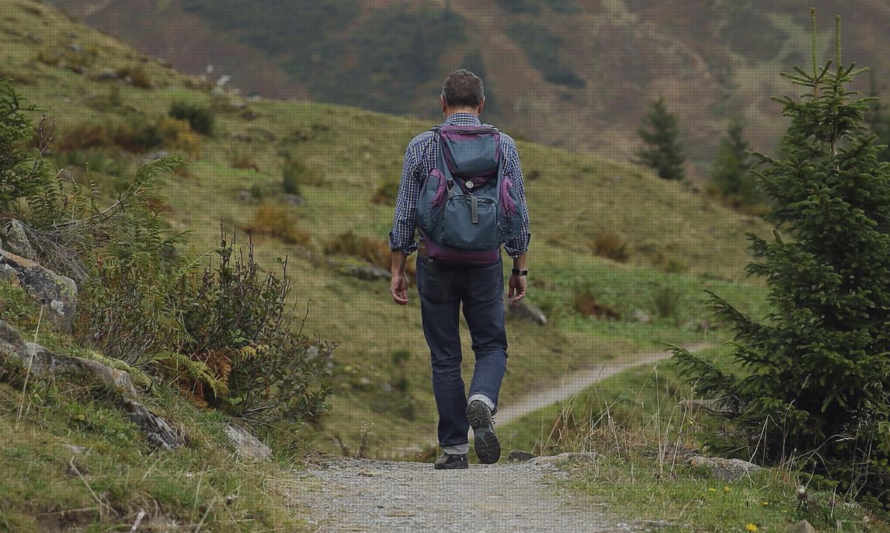 Análisis de las 13 mejores Mochilas De Hombres Cueros Pu