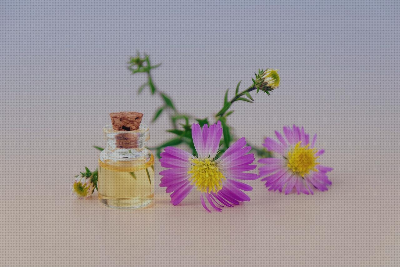 Review de olores de perfumes de hombre