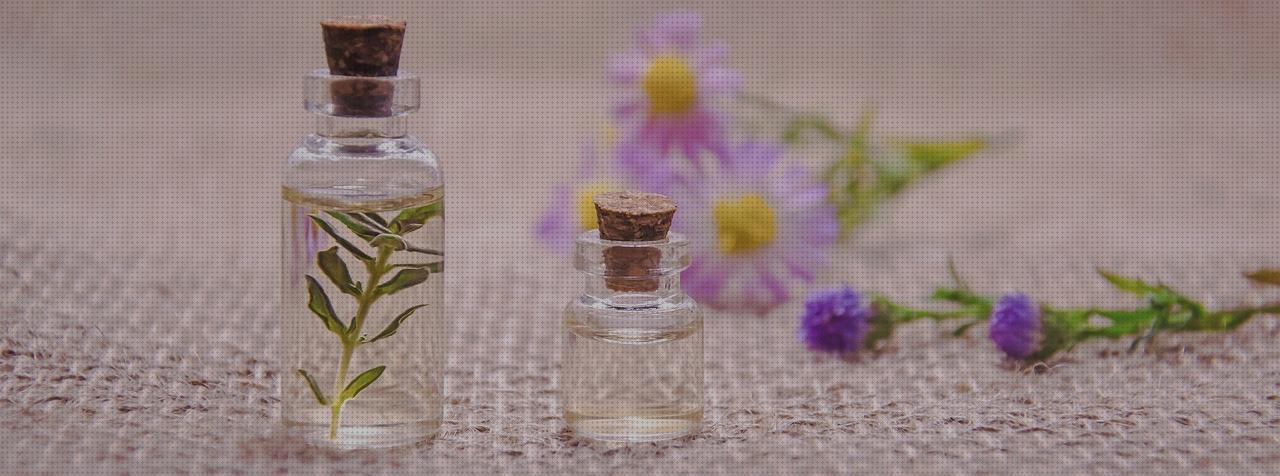 Opiniones de los 24 mejores Olores De Perfumes De Hombres