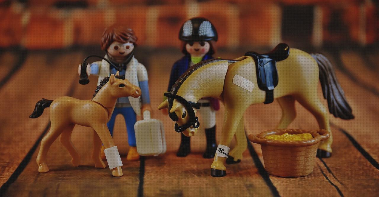 Los 15 Mejores Playmobil Veterinarios De Hombres